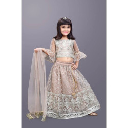 Kids Light Brown Embroidery Lehenga Readymade